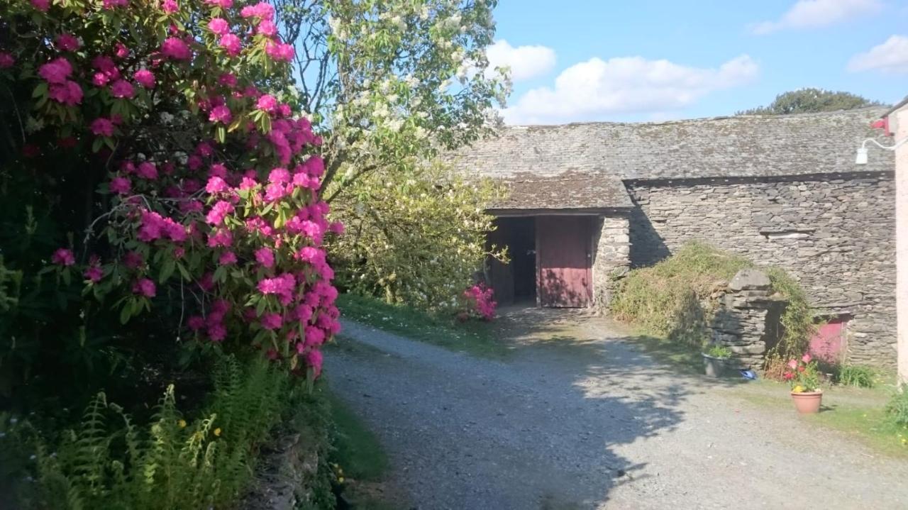 Low House Farm North, Troutbeck, Windermere Eksteriør billede